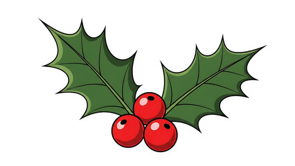 Illustration of holly with berries isolated on transparent background