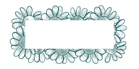 Rectangular frame with daisies. Vector frame in line art style. Botanical drawing of wildflowers. Executed in a popular dark turquoise shade. Nature engraving.