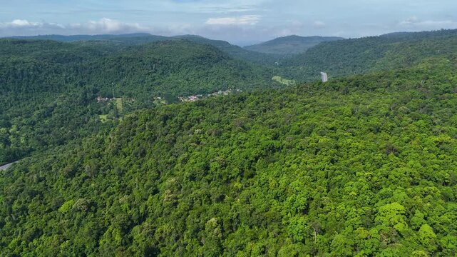 Drone footage of the aerial view of a winding road cutting through lush green forest. Scenic highway number 304 in Thailand links the Bangkok area to Nakhon Ratchasima in the northeastern region