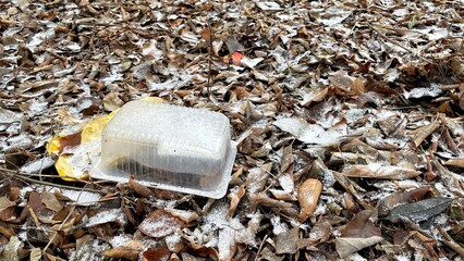 Transparent container resting on a bed of fallen leaves, partially covered with snow, showcasing the contrast between nature and human-made materials in an outdoor setting