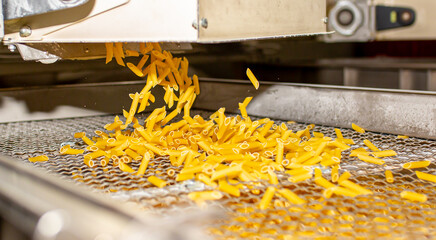 Pasta factory. Close-up of raw pasta on machines and conveyor. Pasta production equipment. Modern...
