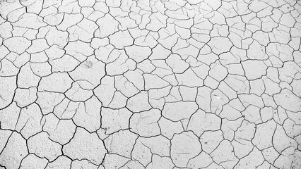 Cracked earth texture, a symbol of drought and environmental change. The pattern of cracks creates a stark, textured surface