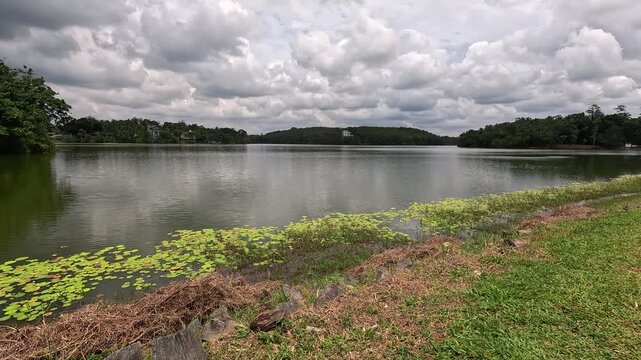 Lake and nature, 4k