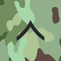  Private's emblem icon on Army combat uniform, insignia.