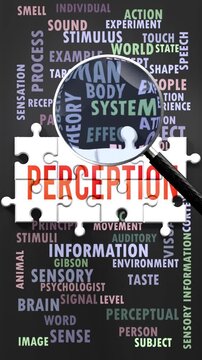Perception under magnifying glass, being researched, studied and examined. Most important subjects and ideas related to perception written around a puzzle to symbolize complexity of perception.