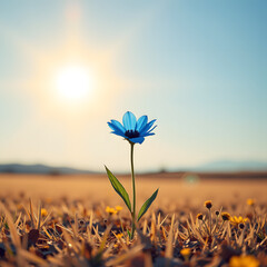 A single, vibrant flower, petals ablaze in icy blue hues, stands alone in the center of an empty, sun drenched field, Romantic