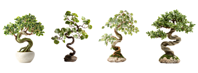 Green grass and blue sky background with a potted rosemary houseplant and a brown bonsai tree branch