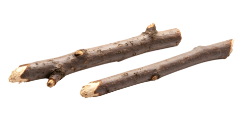 Two natural wooden sticks on a transparent background