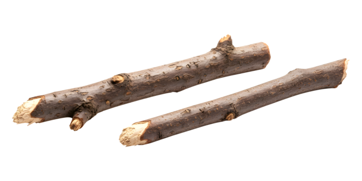 Two natural wooden sticks on a transparent background