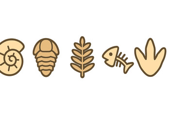 Prehistoric paleontology fossils set including ammonite, trilobite, fish skeleton, and dinosaur footprint