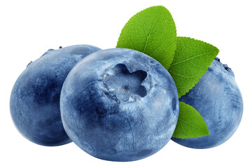 Obraz premium Blueberry isolated, full depth of field