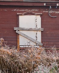 Close-up of a boarded-up window secured by makeshift planks on old red wooden building and overgrown with dry weeds in the foreground.