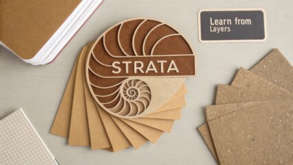 Flat lay of layered kraft paper strata around ammonite silhouette