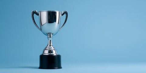 Silver cup with a black base