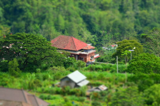 natural scenery and houses in miniature style