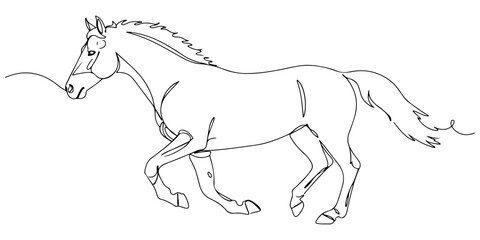 Fototapeta premium Continuous one line drawing of a galloping horse, representing freedom and grace, line art style vector illustration.