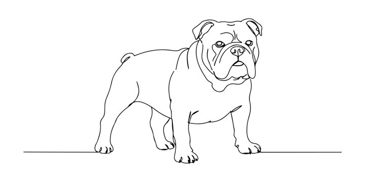 Continuous one line drawing of a bulldog with a wide body posture, representing loyalty and character, line art style vector illustration.