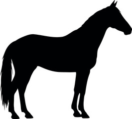 Black horse silhouette standing profile
