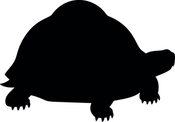 Black tortoise silhouette