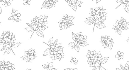 Seamless pattern with delicate outline drawings of jasmine flowers and leaves on a white background.