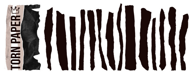 Set torn rectangle paper shape with jagged edges and rough stripes.