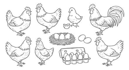 Black and white hand-drawn vintage style illustrations of chickens, a rooster, a chick, a nest with eggs, and an egg carton, perfect for farm or food themes.