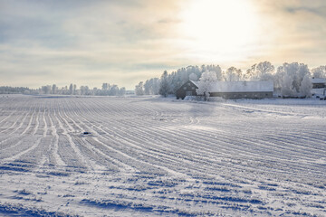Barn by a snowy field a cold winter day in the countryside