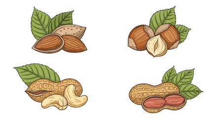 Hand-drawn style illustration of a diverse assortment of nuts, featuring almonds, hazelnuts, peanuts, and cashews, all with fresh green leaves.