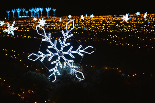 Large illuminated snowflake decoration against a dark background with small lights and trees.