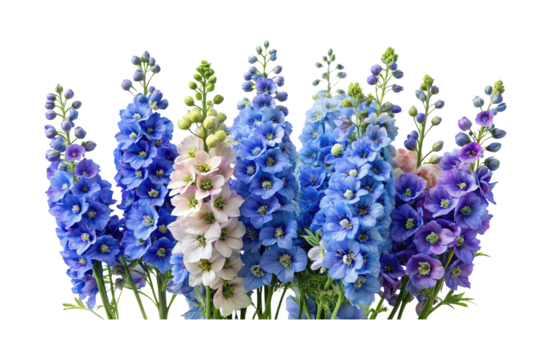 A vibrant arrangement of colorful delphinium flowers, showcasing nature's beauty and elegance