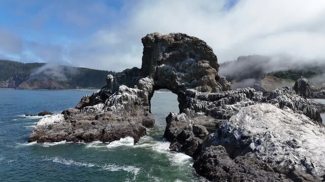Sea Lion Rock Indian Beach Pacific Ocean