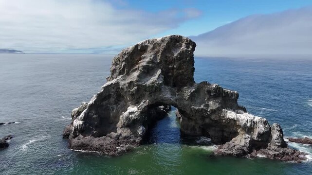 Sea Lion Rock Indian Beach Pacific Ocean