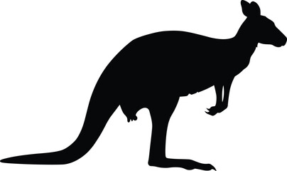 Kangaroo silhouette illustration, Australian wildlife animal design, standing kangaroo profile artwork, nature and wildlife concept artwork