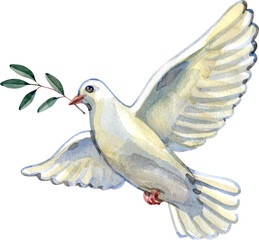 Watercolor illustration of a white dove carrying an olive branch, symbolizing peace, hope, and reconciliation. Ideal for spiritual projects, celebration cards, church graphics, and inspirational desig