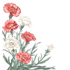 Watercolor rendering depicts a cluster of delicate coral and white blooms with slender foliage arranged in the lower left corner