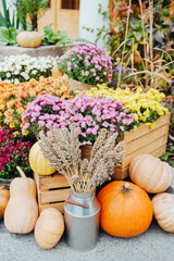 Naklejka premium Autumn garden display with pumpkins gourds flowers and grains in wooden crates