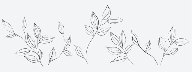 Fototapeta premium Floral line art illustration featuring several delicate, sketchy sprigs and branches with small, pointed leaves