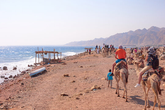 Group of riders on camels along a scenic beach with mountains in the background