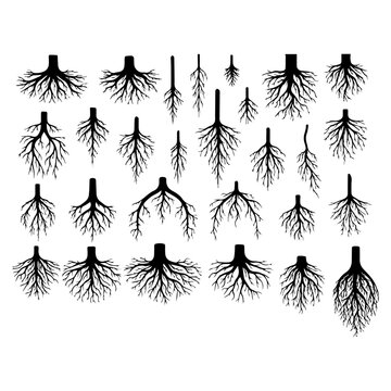 Set of tree roots silhouette pack