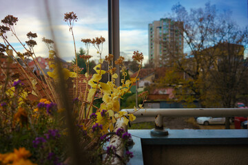 Autumn flowers on the terrace