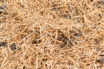 General stock.

Gardening. Straw used to as a winter covering and mulch on an allotment vegetable patch. 
