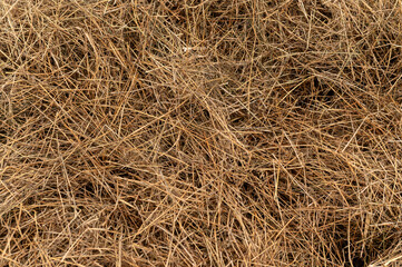 General stock.

Gardening. Straw used to as a winter covering and mulch on an allotment vegetable patch. 
