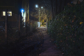 A small Balkan street at night in autumn