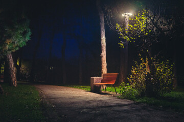 Park bench at night in autumn