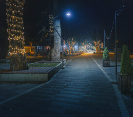 Night scene of city promenade in autumn