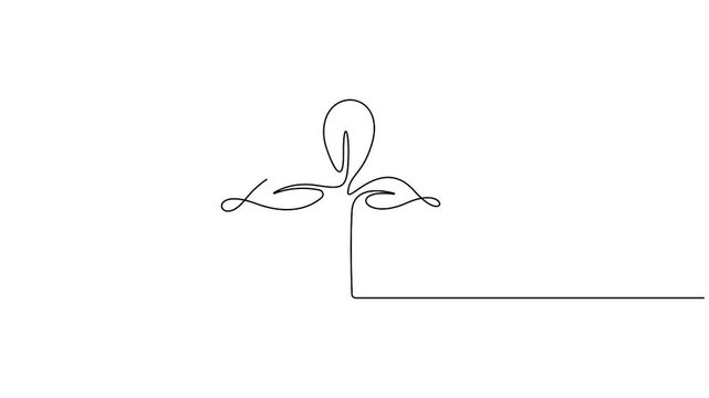 Growing plant continuous one line drawing minimalist style animation