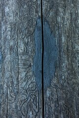 Obraz premium Close-up of intricate patterns visible on the wood are bark beetle galleries, which are feeding tunnels created by the larvae of bark beetles in summer, Abruka, Saaremaa, Estonia.