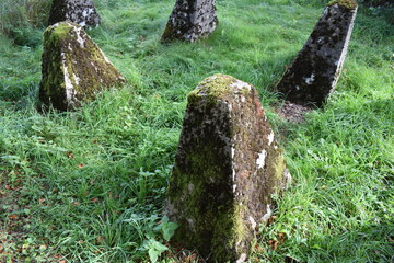 anti-tank barriers form WW2 with moss