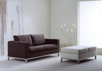 Single shot photo of a room with a sofa