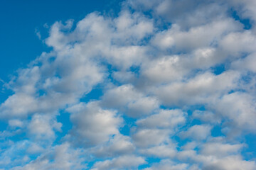 cielo azul con nubes blancas cúmulos parecidos al algodón